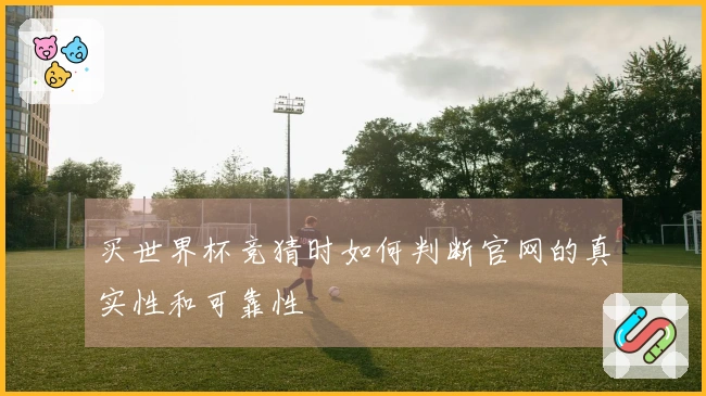买世界杯竞猜时如何判断官网的真实性和可靠性