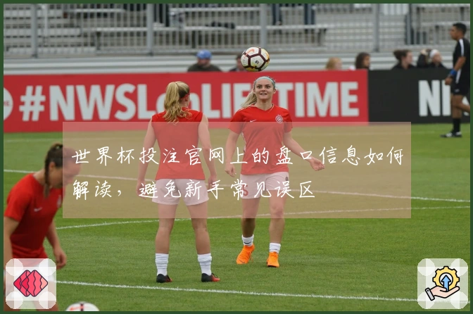 世界杯投注官网上的盘口信息如何解读，避免新手常见误区