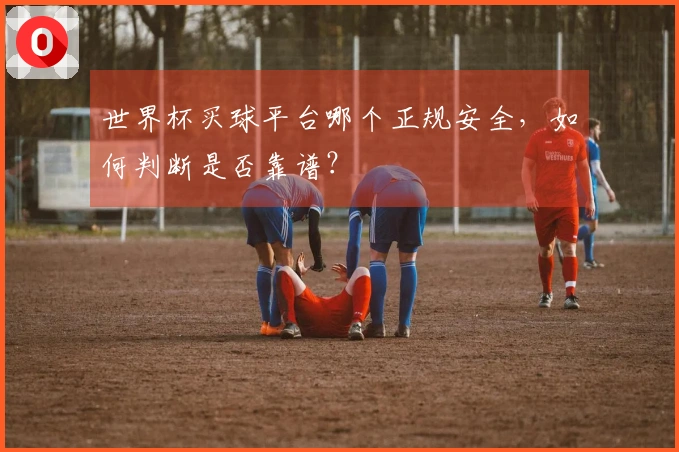 世界杯买球平台哪个正规安全，如何判断是否靠谱？